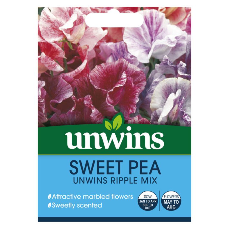 5051618031721 1 Sweet Pea Unwins Ripple Mix Seeds.jpg